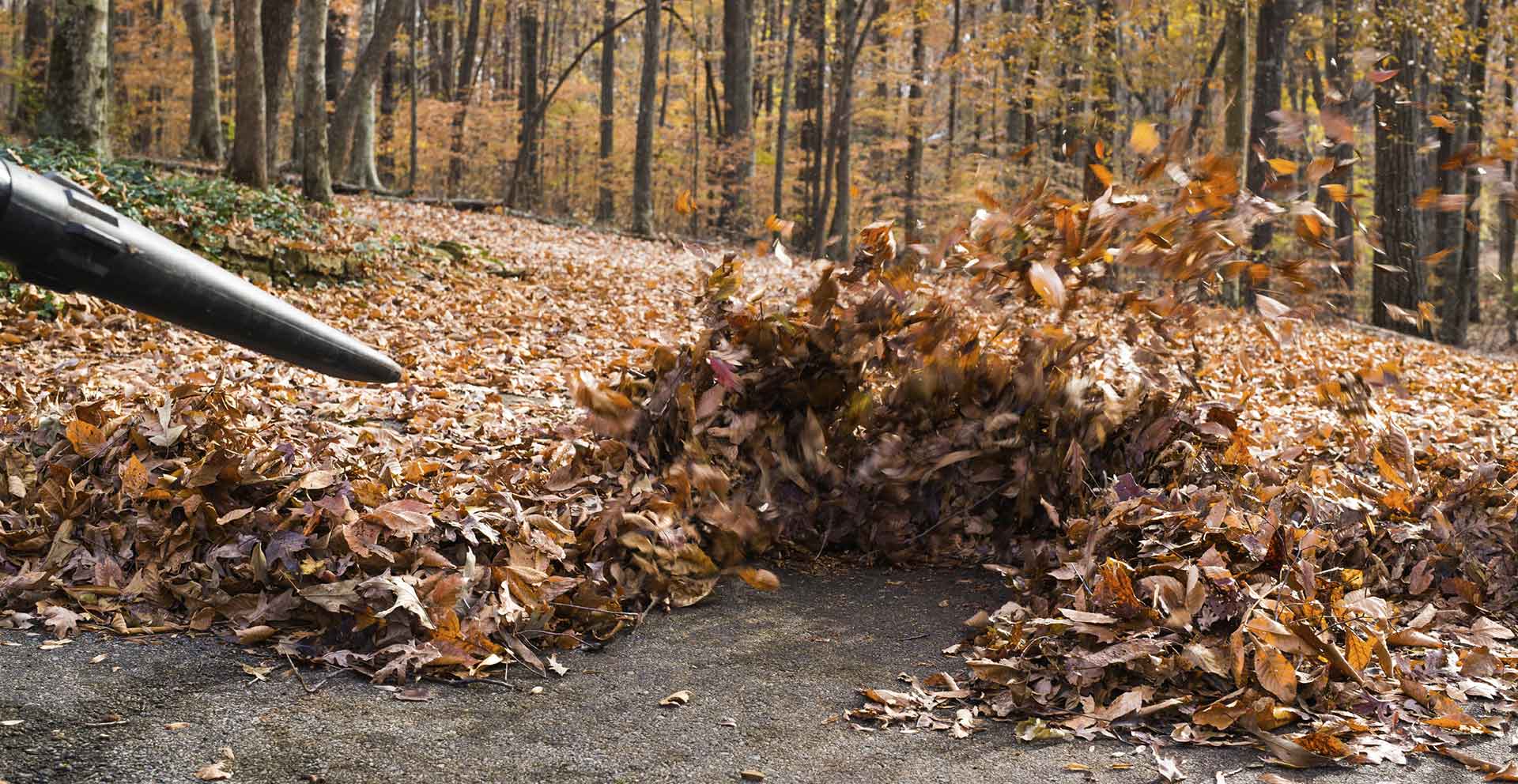 A-1 Lawn Care offers fall clean-ups and leaf blowing!